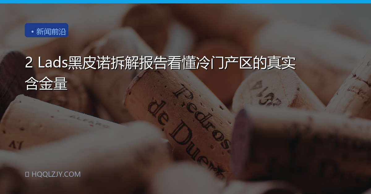 2 Lads黑皮诺拆解报告看懂冷门产区的真实含金量